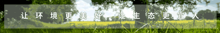 壹号娱乐都会与垃圾分类『童心偕行』_壹号娱乐